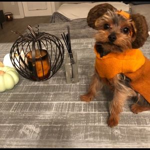 Meet your Posher, Alberto